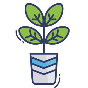 Large Plant Pot
