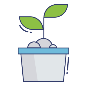 Large Plant Pot (including plant and soil)